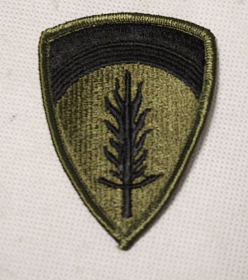 US Army USAREUR Patch Olive